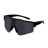 Zonnebril Hozal - 