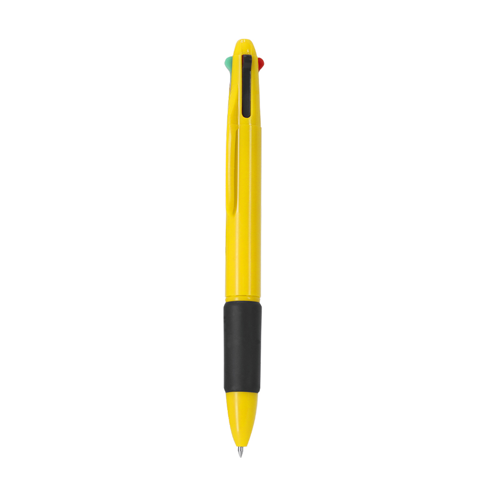Multikleurige Pen Zorzal