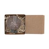 Plantbaar Pack Aquael - 