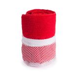 Absorberende Handdoek Gymnasio - 