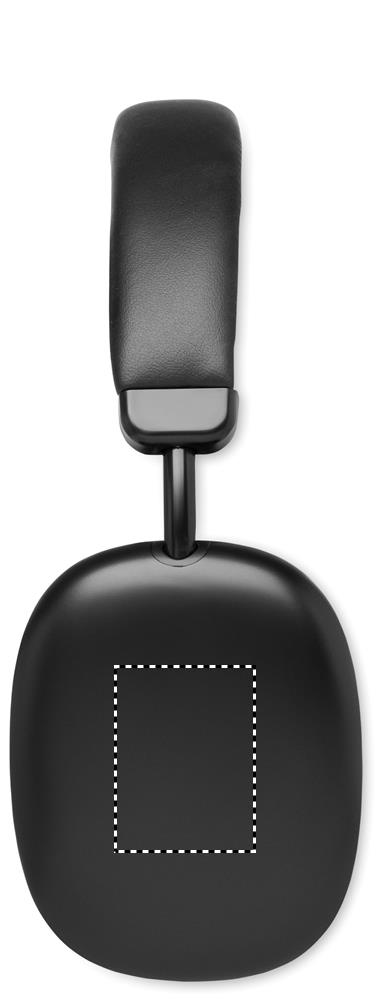EAR LEFT DL (max 30 x 40 mm)