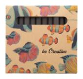 Craxon 12 Eco - custom made 12-delige krijtset - 