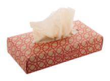 CreaSneeze Eco - custom made papieren zakdoekjes - 