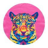 CreaClean RPET - custom made - 