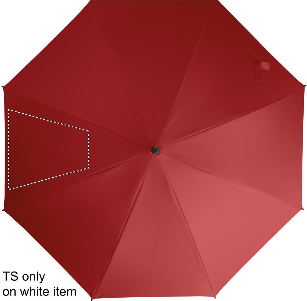 SEGMENT 2 (max 260 x 260 mm)