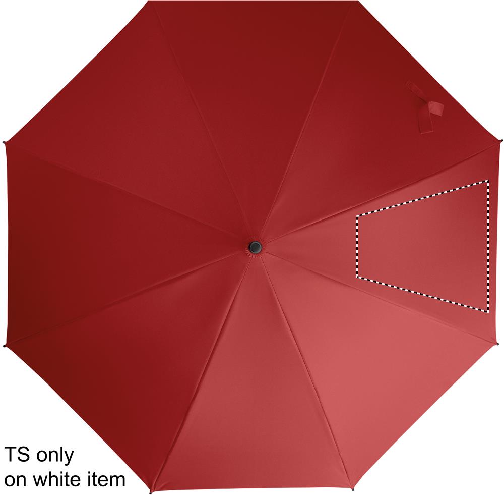 SEGMENT 4 (max 260 x 260 mm)