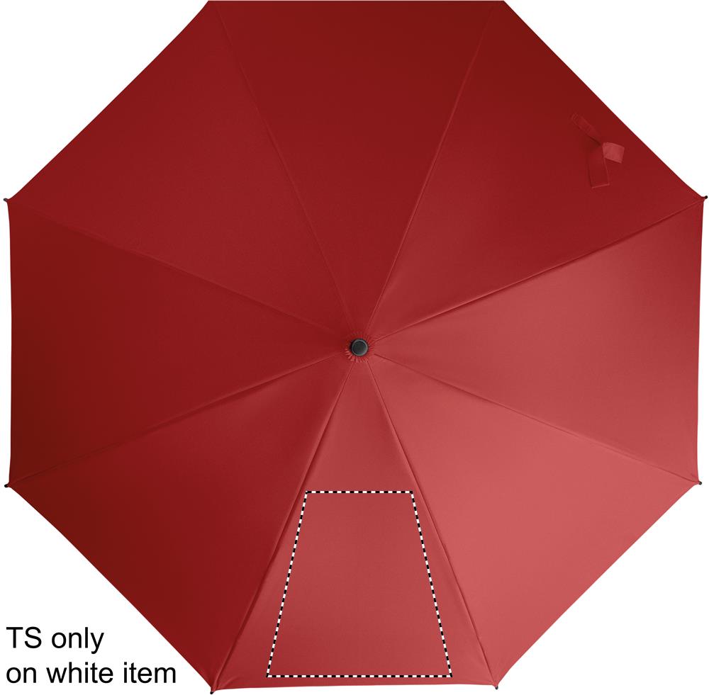SEGMENT 1 (max 260 x 260 mm)