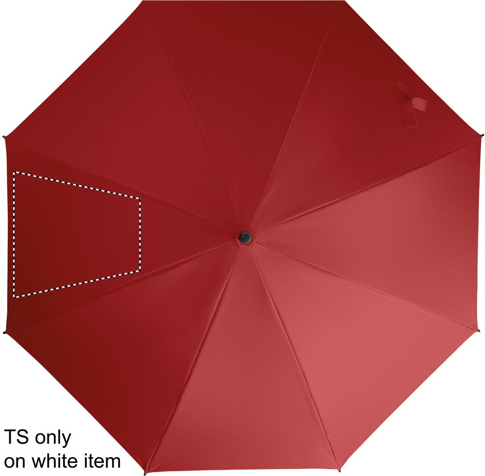 SEGMENT 2 (max 260 x 260 mm)