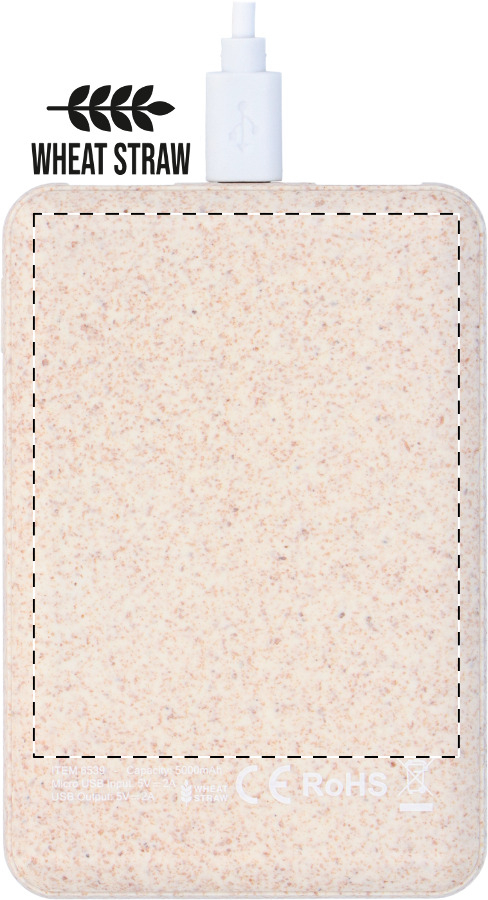 Achterkant