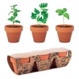 FLOWERPOT - Kruidenpotjes set van 3 - 