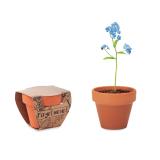 FORGET ME NOT - Potje Vergeet-me-nietjes - 