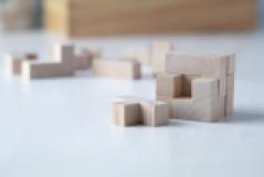 Leon - puzzel spel