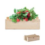 STRAWBERRY - Aardbeienpakket in houten krat - 