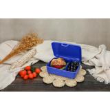 Voorraadbox "School-Box" deluxe, met scheidingsschaal