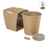 MerryGrow - Kweekpakket voor kerstbomen - 