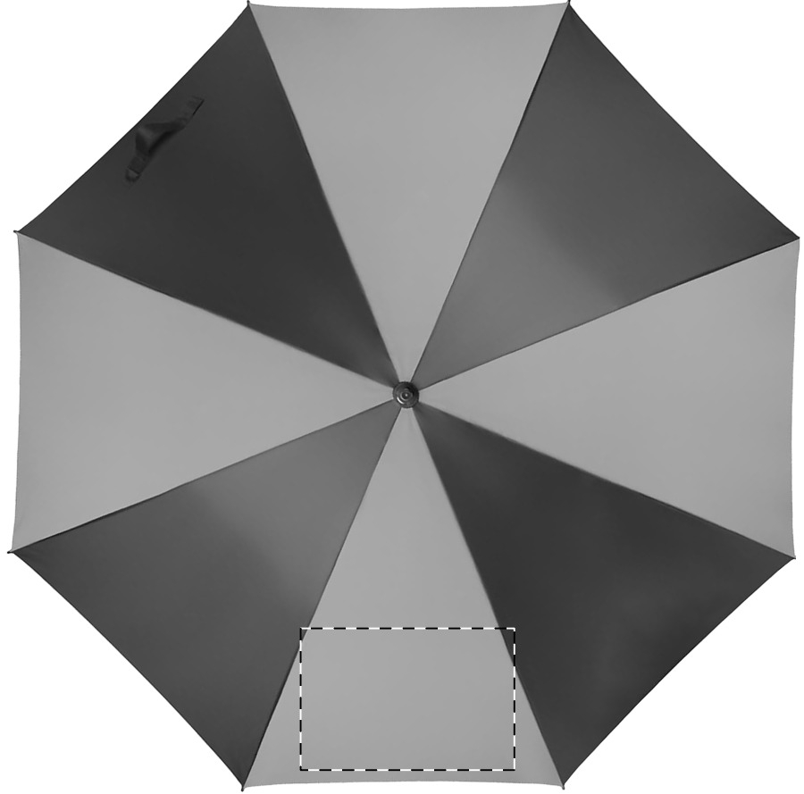 Paneel 4