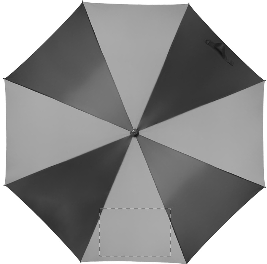 Paneel 6