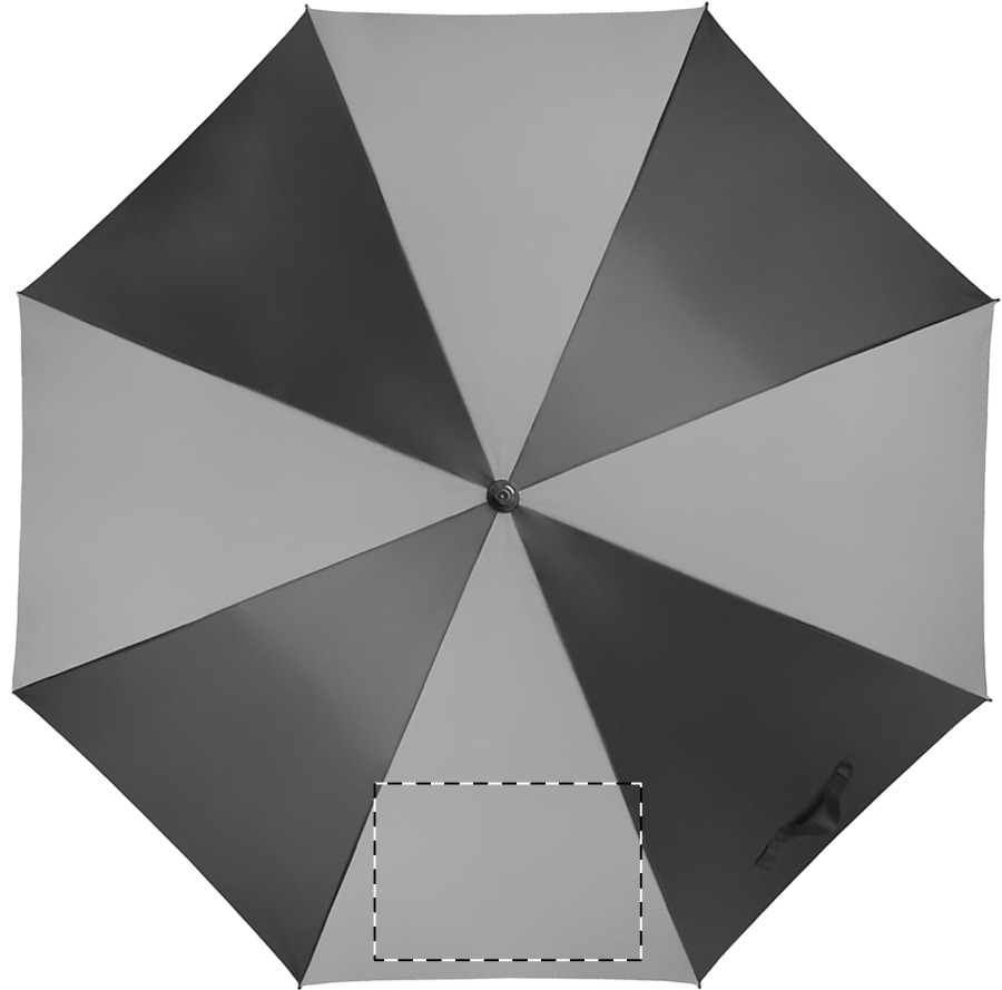 Paneel 8