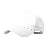 Gibson - baseball pet - 