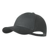 Sanvi - baseball pet - 