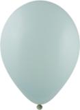 Ballonnen bedrukt High Quality Precision Print  Ø 35 cm / omvang 90-100 cm / 12 inch - 
