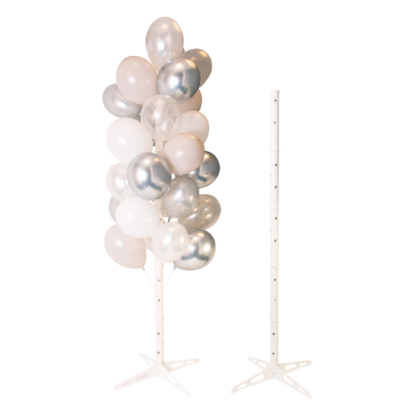 Ballonnenboom diverse kleuren