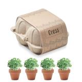 CRESS - Kweekset in eierdoos - 