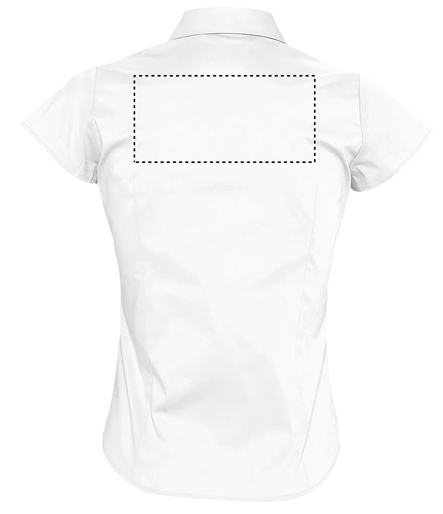 BACK SIDE 2 (max 250 x 120 mm)