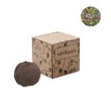BOMBI - Zaadbom kweekset - 