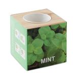 MENTA - Kweekset, munt in houten pot - 