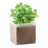 BASIL - Basilicum zaadjes - 