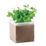 MINT - Compost met munt zaadjes - 