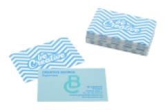 Visicard Safe - custom made scheurvaste visitekaartjes - 