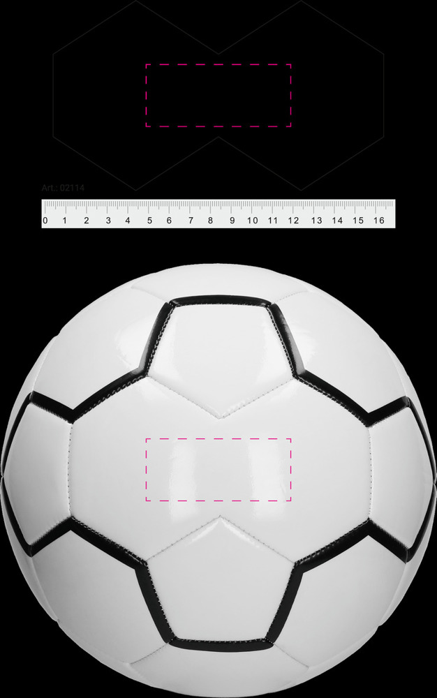 Dubbelsegment