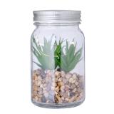 Decoratieve Plant Kyala - 