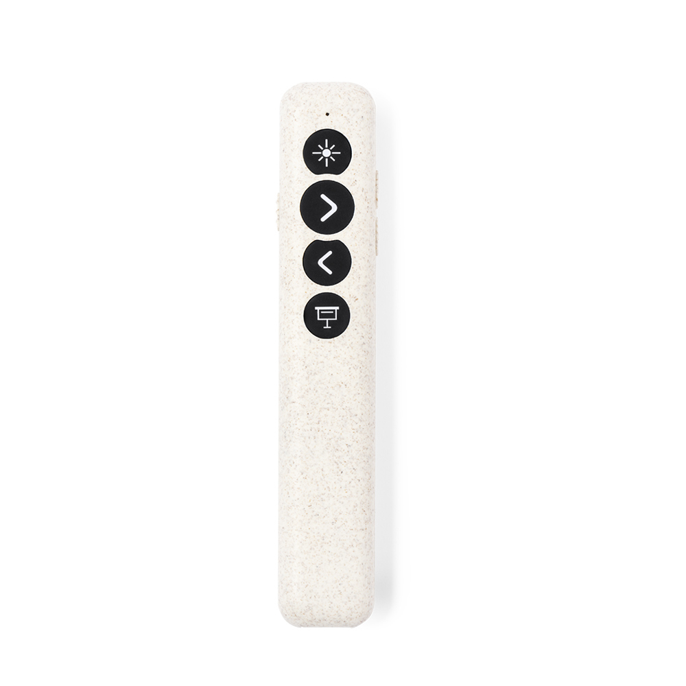 Presenter Laser Pointer Lesi