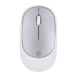 Muis Doryt RCS - 