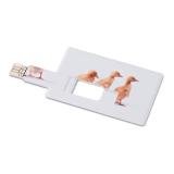 MEMORAMA - Creditcard. USB flash 16GB - 