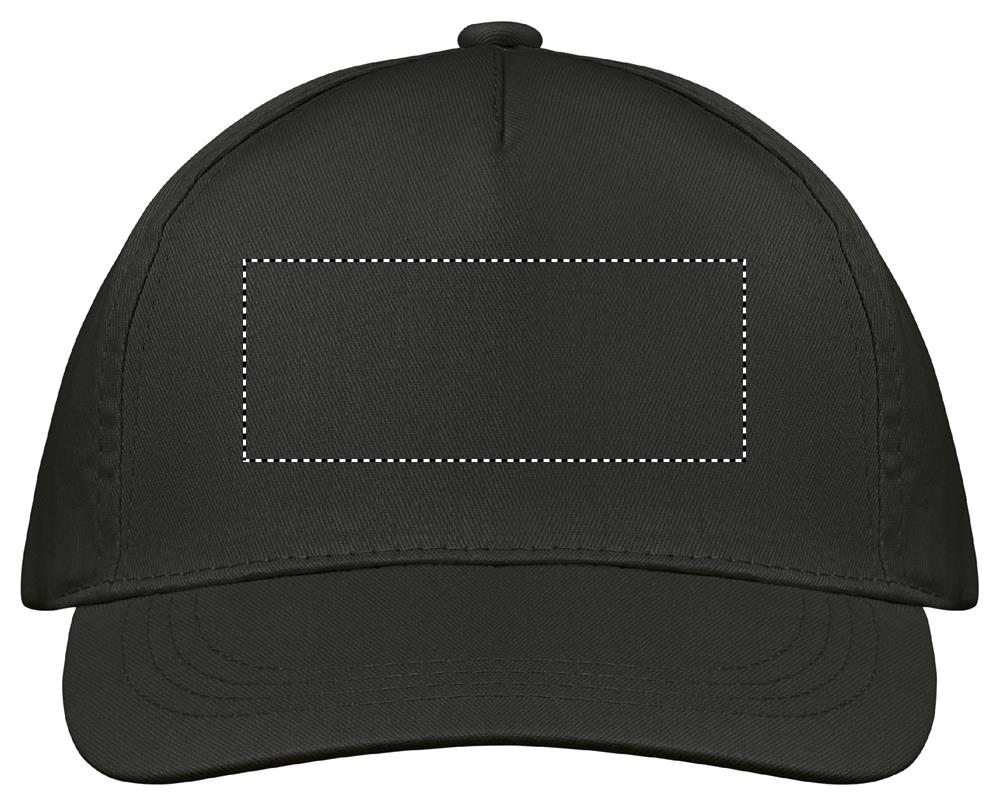 FRONT SCREEN (max 100 x 40 mm)