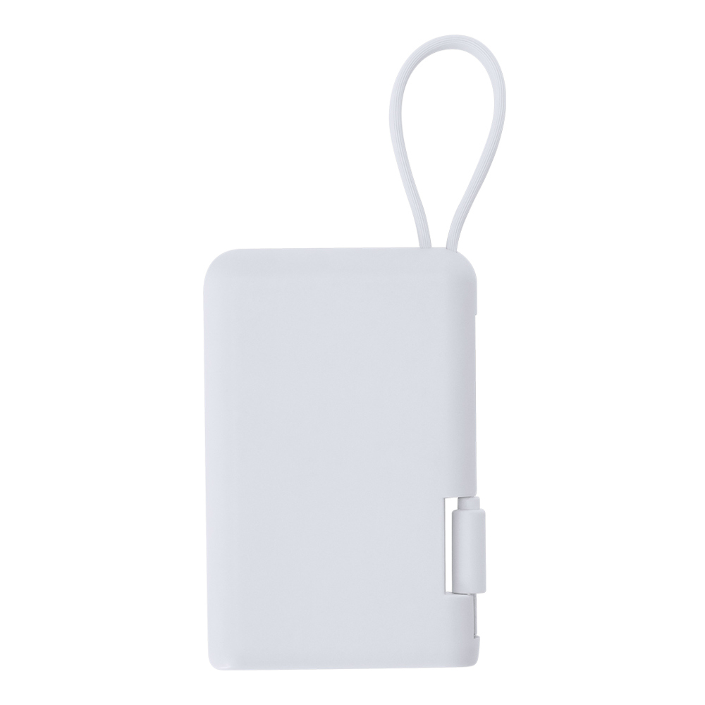 Power Bank Brandin