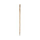 Wandelstok Tamdar - 