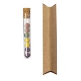 Bonbon Zaden Set Dinaclex - 