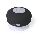 Luidspreker Rariax - 