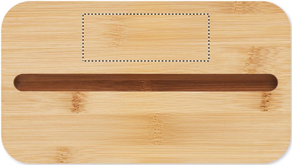 LID SIDE 1 PAD (max 80 x 30 mm)