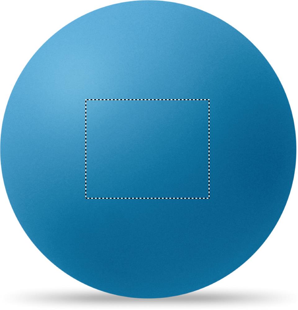 FRONT (max 25 x 20 mm)