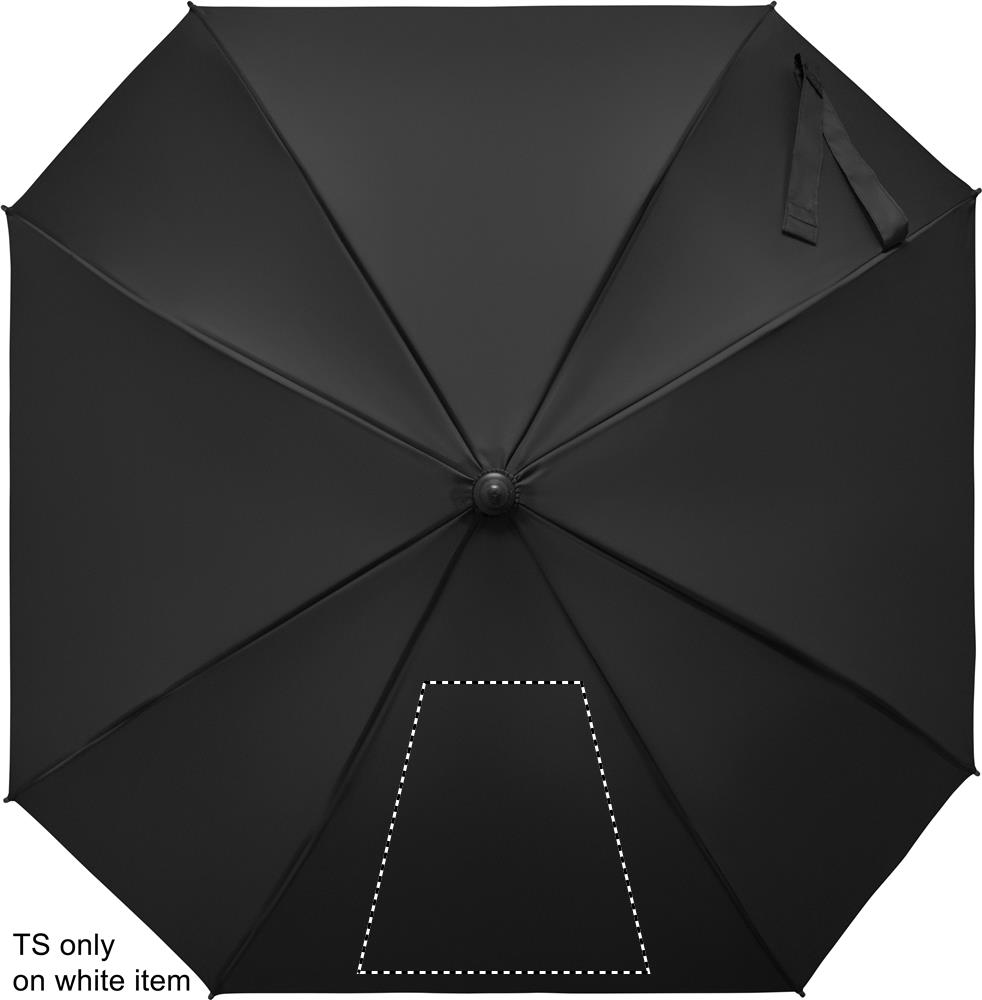 SEGMENT 1 (max 260 x 260 mm)