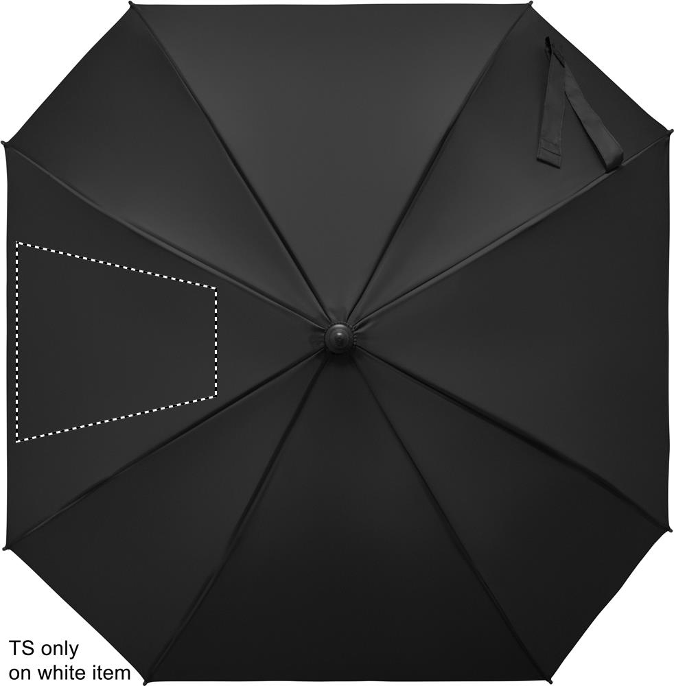 SEGMENT 2 (max 260 x 260 mm)