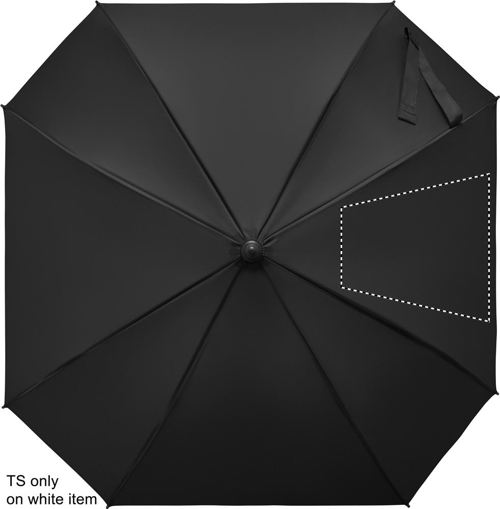 SEGMENT 4 (max 260 x 260 mm)