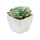 ARTIECHE - Mini kunstplant - 