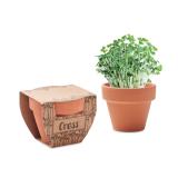 CRESS POT - Potje tuinkers - 
